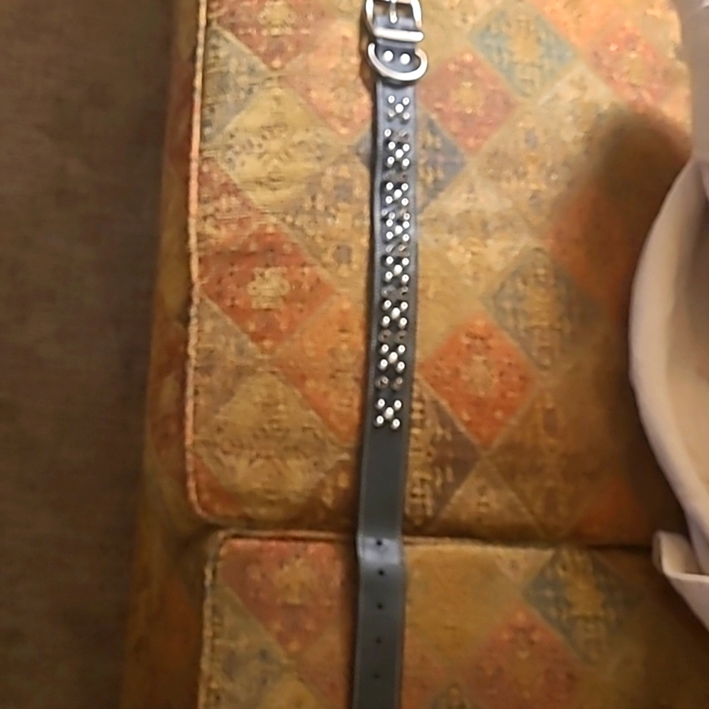 Genuine Leather studded dog collar